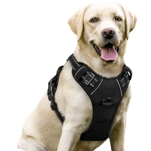 Rabbitgoo black reflective dog harness with padding and two leash clips on a Boxer