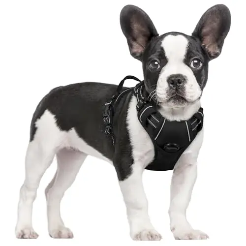 Rabbitgoo no-pull adjustable dog harness for small dogs