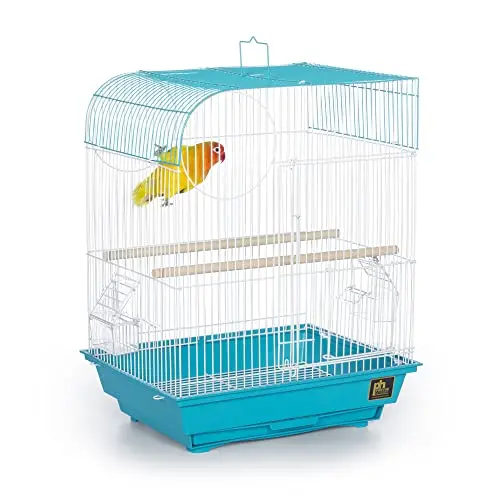 Prevue Pet Products South Beach flat top bird cage for canaries in teal