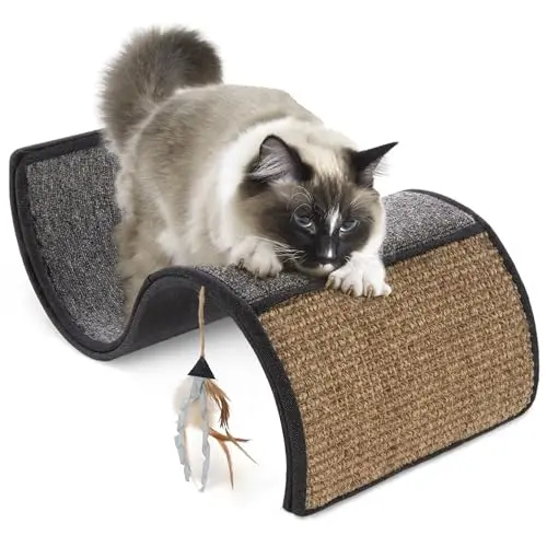 Petlinks Dream Curl Carpet Cat Scratcher showing dual-textured surface and curl design