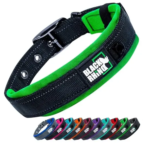 Blue and grey neoprene-padded nylon dog collar with reflective stitching.