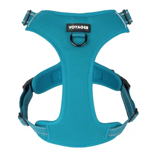 Voyager no-pull dog harness in turquoise for medium dogs