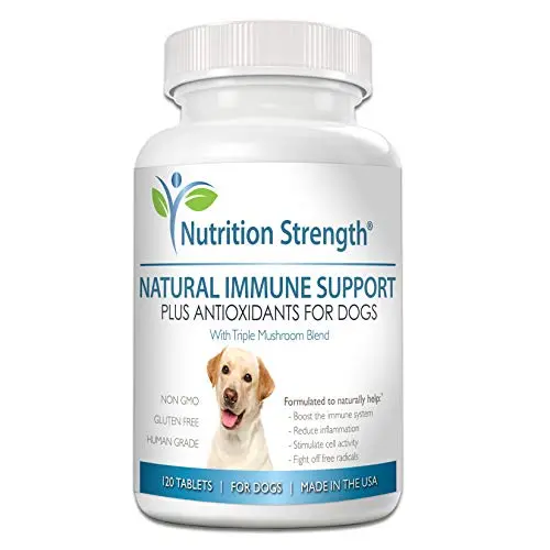 Nutrition Strength immune support chewable tablets for dogs with mushrooms