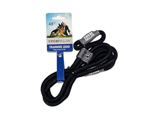 Cesar Millan black woven nylon slip lead leash