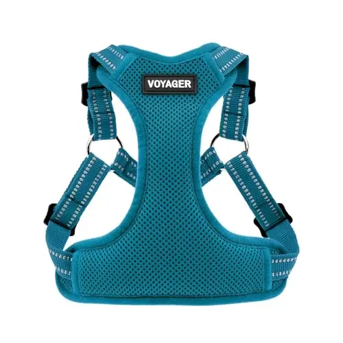 Best Pet Supplies Voyager step-in mesh dog harness