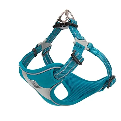 TRUE LOVE step-in dog harness in blue with reflective piping