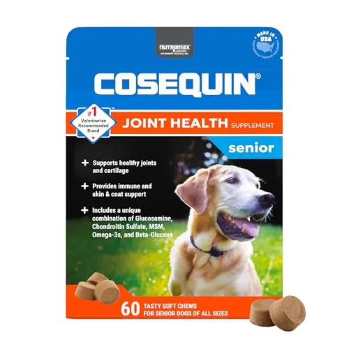 Nutramax Cosequin soft chews for senior dog joint health