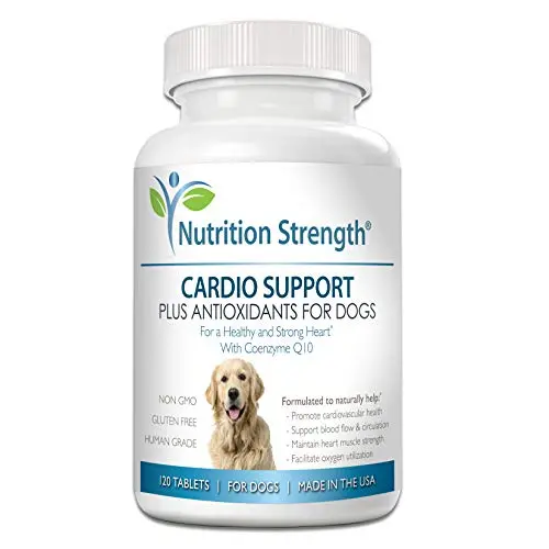Nutrition Strength Cardio Support chewable tablets for dogs