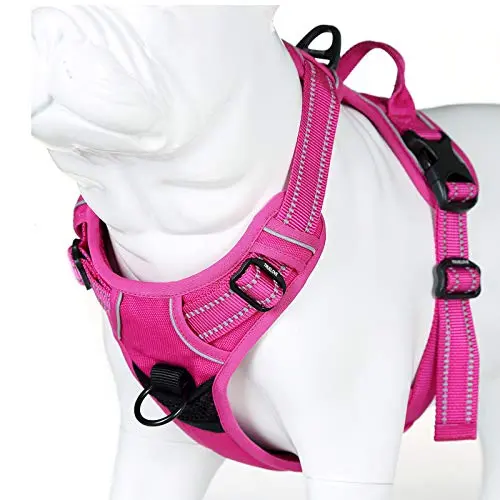 JUXZH no-pull dog harness in fuchsia with reflective strips for small breeds