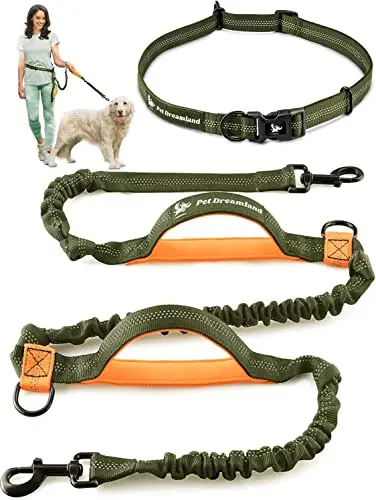 Pet Dreamland khaki and orange hands-free dog leash with bungee and soft handles