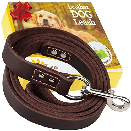 ADITYNA brown leather dog leash with stainless steel clasp