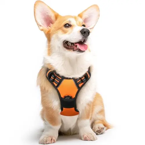 Eagloo padded no-pull dog harness with handle