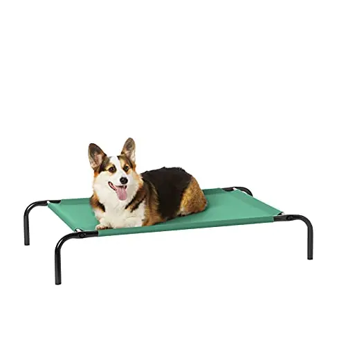 Amazon Basics green elevated dog bed with metal frame