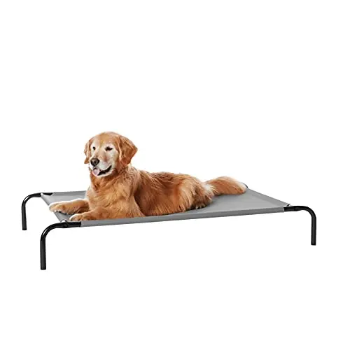Amazon Basics elevated cooling dog bed with iron frame in grey