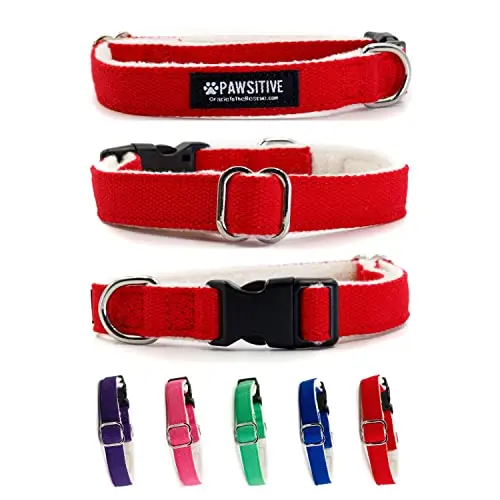 Red Hemp Dog Collar with soft organic cotton lining.