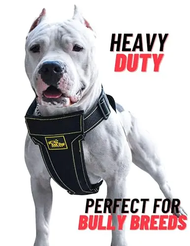 KNK heavy duty dog harness with padded chest support and tactical design