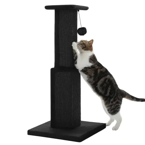 PAWZ Road 32-inch black cat scratching post with dangling ball toy