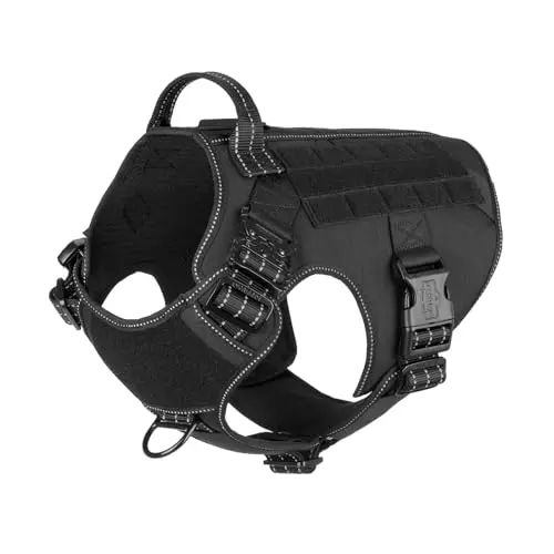 ICEFANG black tactical dog vest with MOLLE panels on a working dog