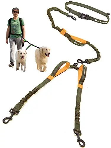 Pet Dreamland khaki and orange hands-free double dog waist leash