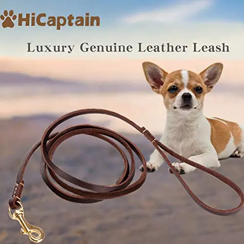 HiCaptain brown thin leather dog leash for small dogs up to 15 lb