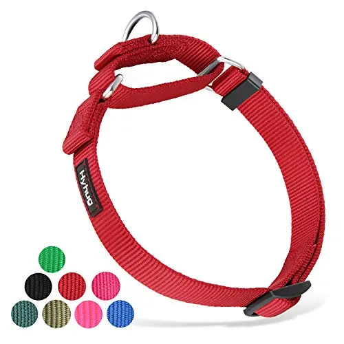 Hyhug red nylon martingale collar for dogs, showing the slip-on design and D-ring.