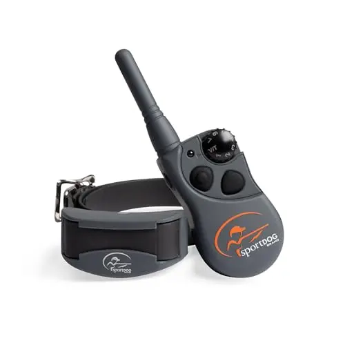 SportDOG FieldTrainer 425XS remote trainer collar on a dog in a field