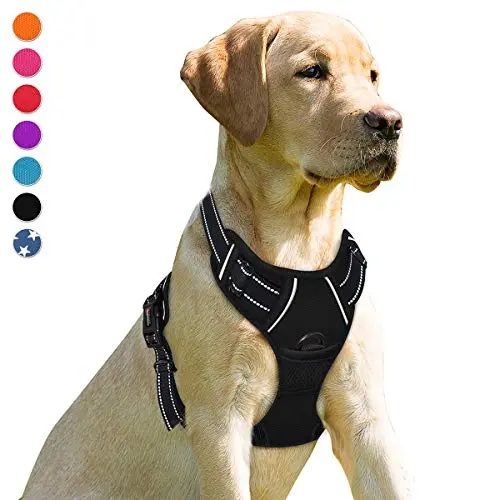 BARKBAY Heavy Duty No Pull Dog Harness in Black on a large dog