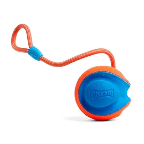 Chuckit! Rope Fetch Toy, a large ball with a rope handle for multiple types of play with dogs