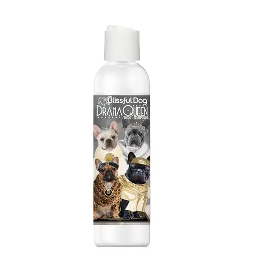 The Blissful Dog drama queen shampoo bottle for French Bulldogs