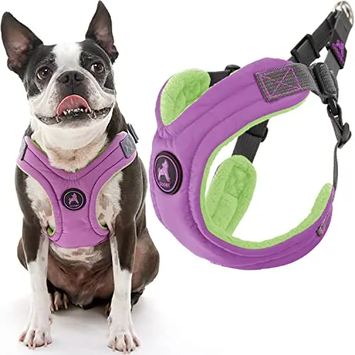 Gooby Escape Free memory foam dog harness in purple