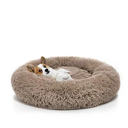 MIXJOY orthopedic donut dog bed with raised rim and faux fur cover
