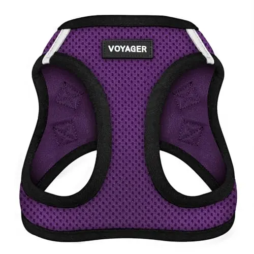 Best Pet Supplies Voyager Step-in Air Mesh Dog Harness in purple and black