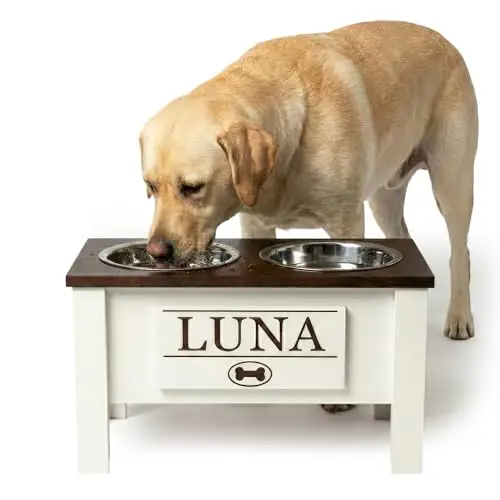 GTW elevated dog bowl stand with storage compartment and stainless steel bowls