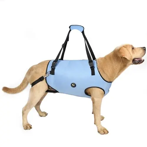 Blue breathable dog support sling with adjustable straps.
