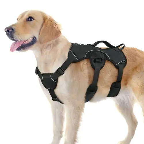 Rabbitgoo escape-proof dog harness with large lift handle