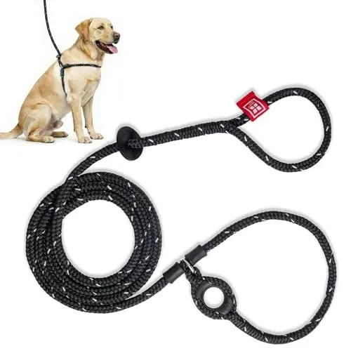 Harness Lead single-piece nylon dog harness and leash in black.