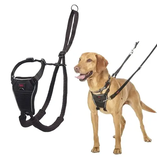 Halti No Pull Dog Harness in black with reflective safety panel