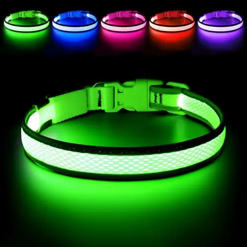 Flashseen LED dog collar made of nylon glowing steadily green on a large dog