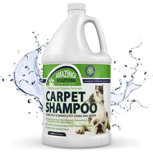 Amaziing Solutions Pet Carpet Shampoo gallon for urine smell removal