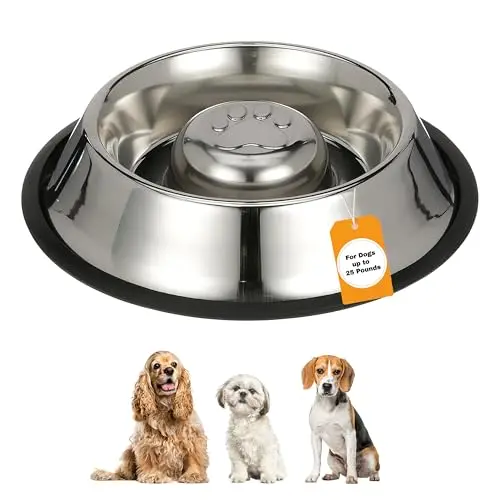 Neater Pet Brands stainless steel slow feed bowl with rubber ring