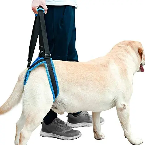 Coppthinktu dog lift support harness in blue with mesh material