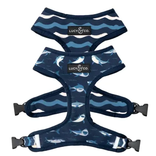 Lucy & Co. reversible dog harness with colorful patterns and padded design