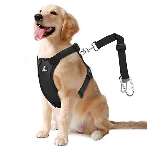 VavoPaw dog car harness with X-shaped structure and soft padding