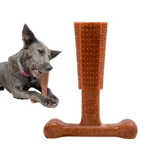 SPOT Bam-Bones T Bone dog chew toy for moderate chewers