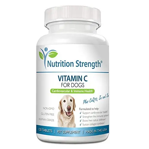 Nutrition Strength vitamin C chewable tablets for dogs