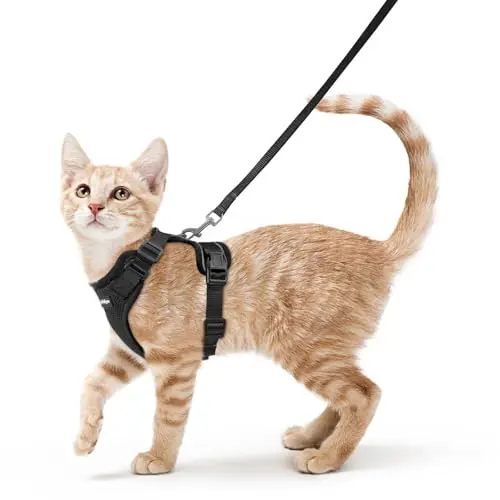 rabbitgoo escape-proof soft mesh cat harness and leash in black