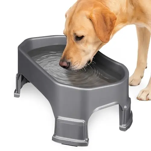 Neater Pet Brands elevated large plastic dog water bowl in gunmetal grey