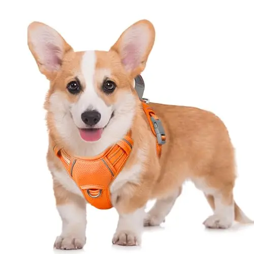 BARKBAY orange dog harness with a visible ID tag pocket on the side