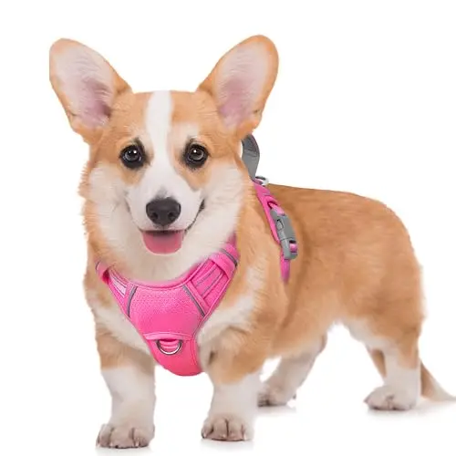 BARKBAY No Pull Dog Harness with ID tag pocket in Pink, showing breathable mesh