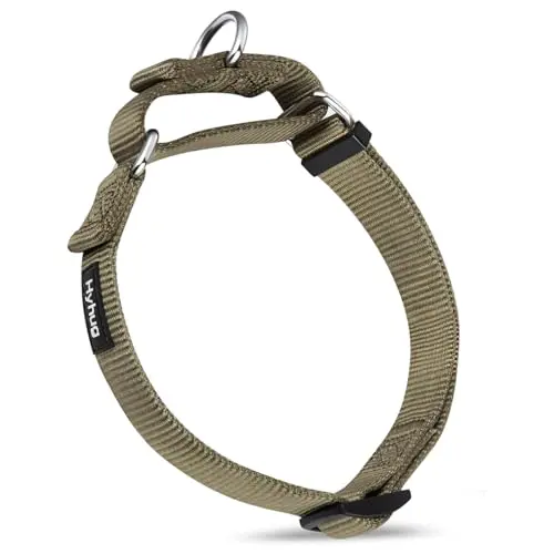 Hyhug green martingale collar for large dogs